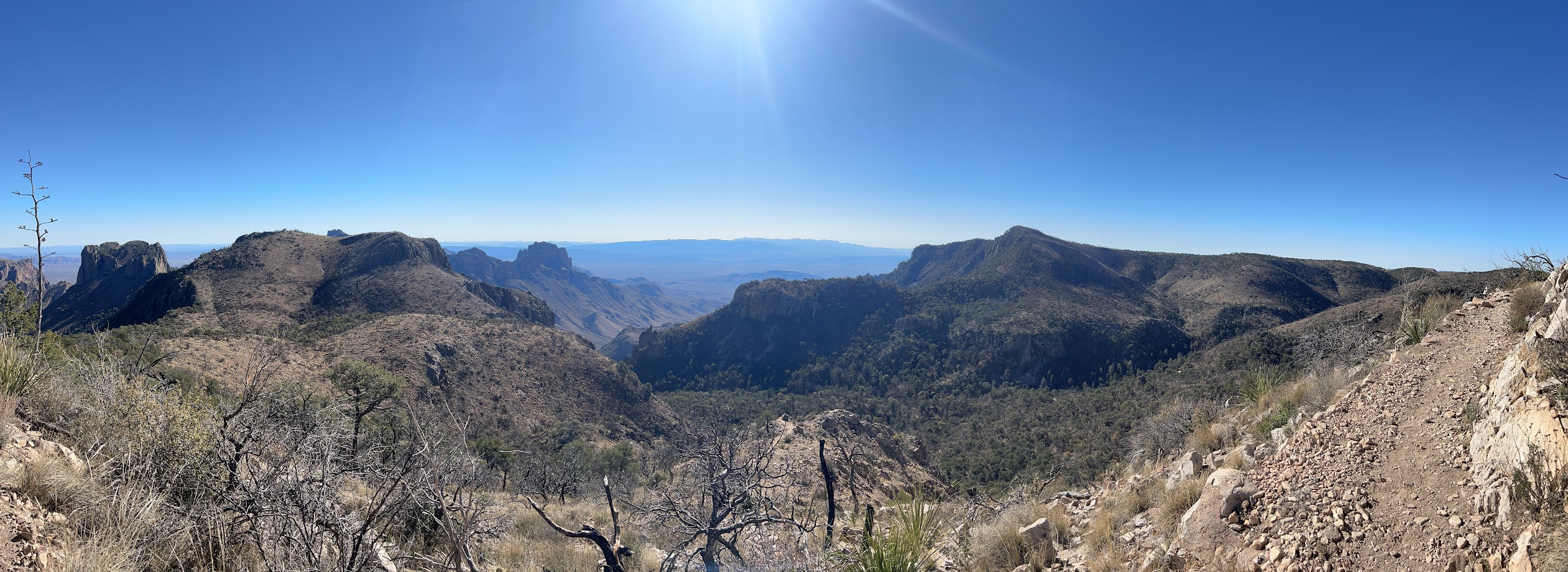 Big Bend Trip